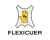 logo Flexicuer